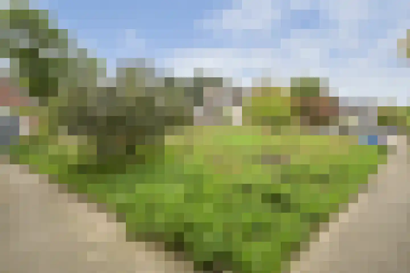 Dokter Duetzlaan 76 Wassenaar thumbnail 53