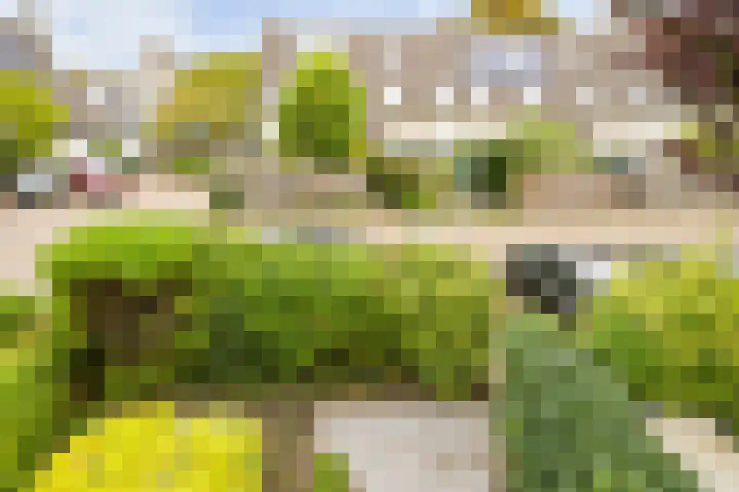 Dokter Duetzlaan 76 Wassenaar thumbnail 54