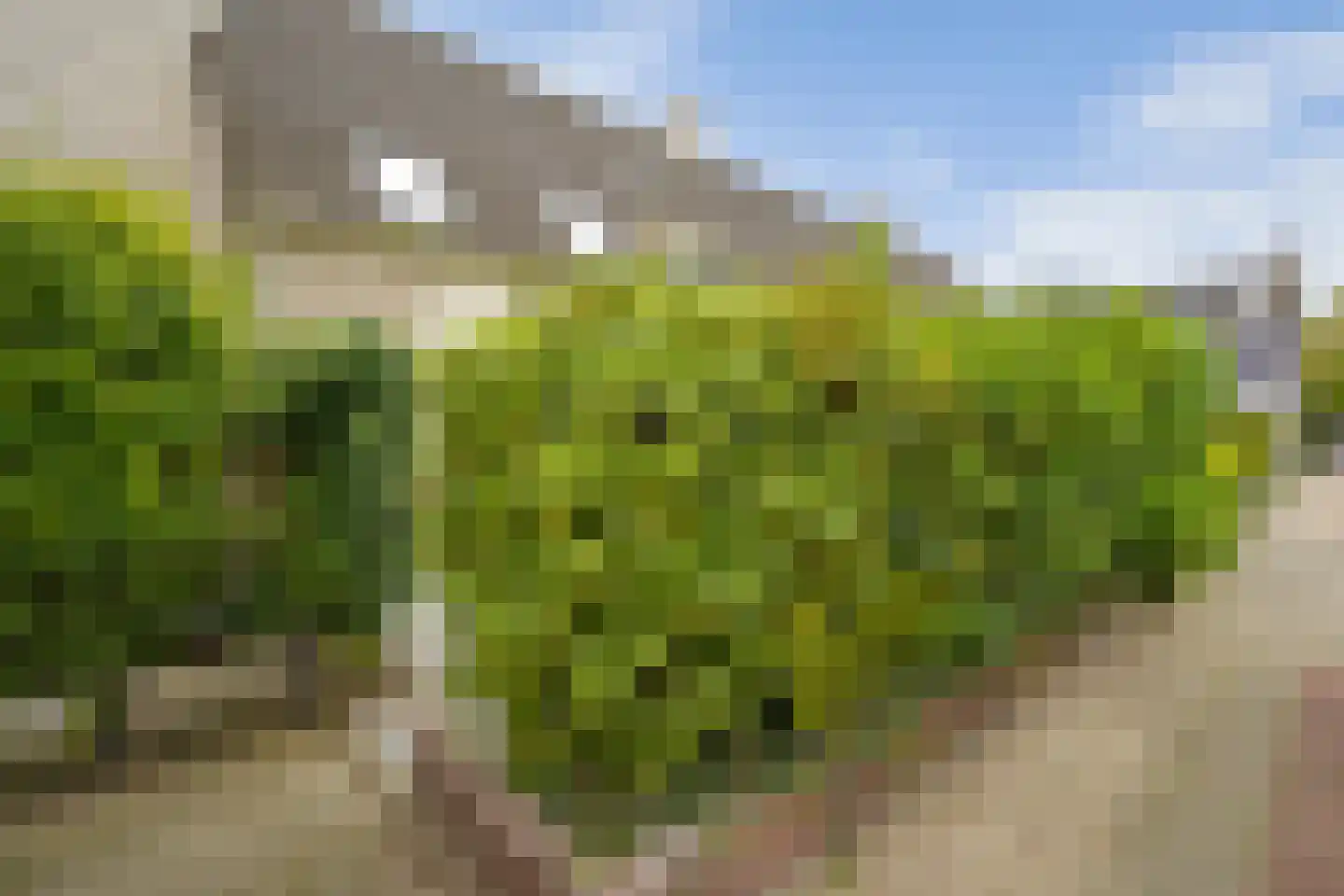Dokter Duetzlaan 76 Wassenaar thumbnail 6