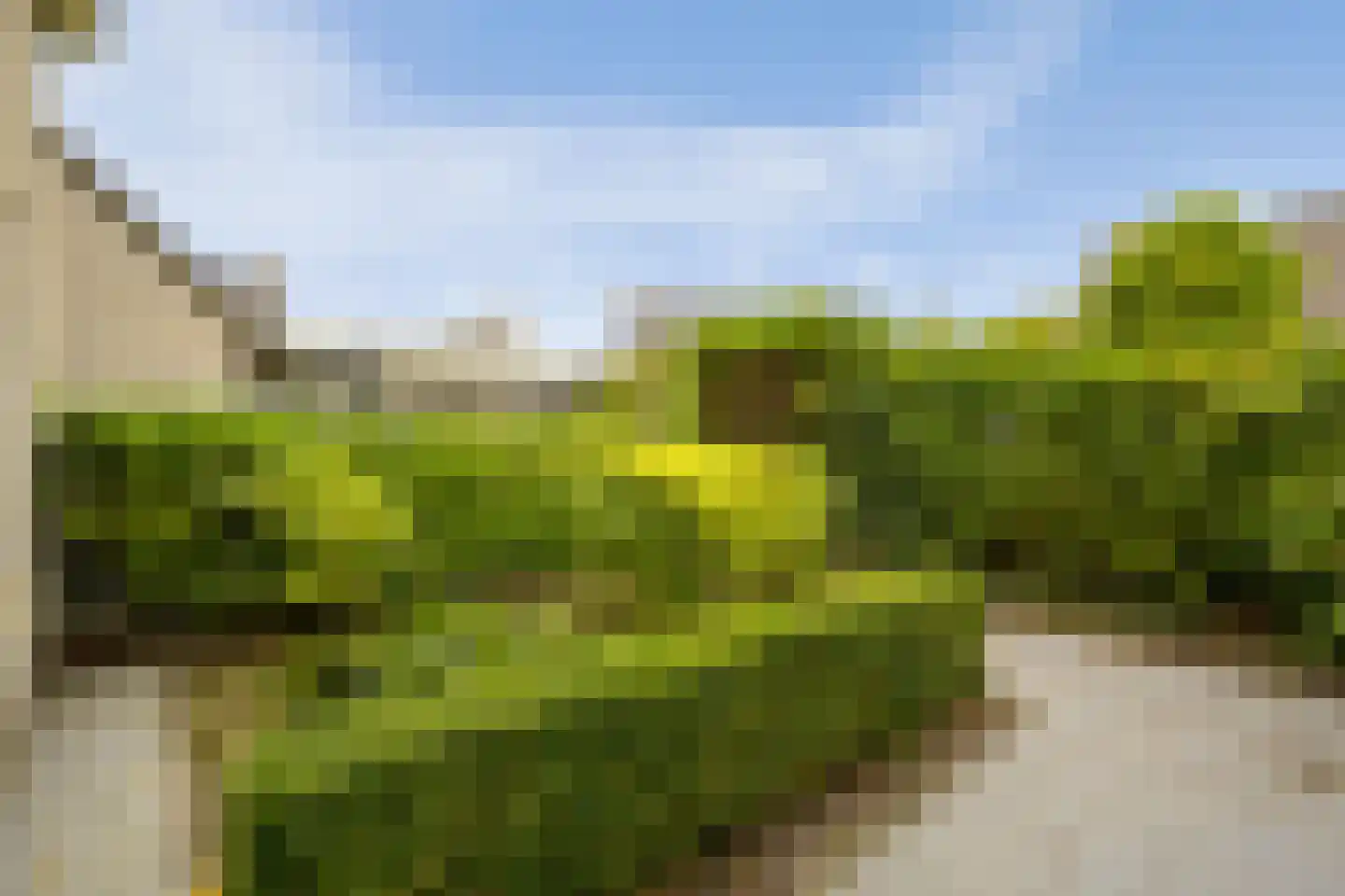 Dokter Duetzlaan 76 Wassenaar thumbnail 7