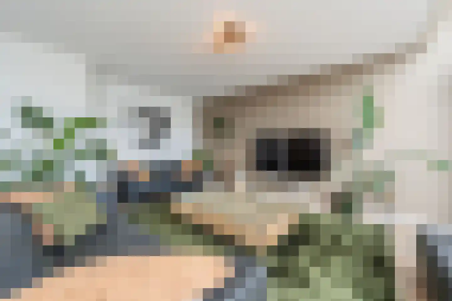 Dokter Duyvendakhof 10 Oud-Beijerland thumbnail 10