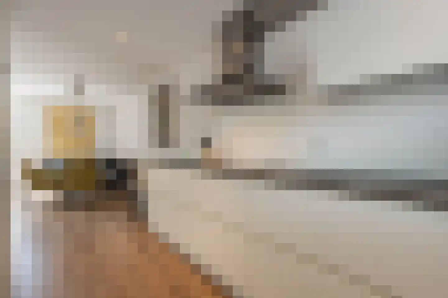 Dokter Duyvendakhof 10 Oud-Beijerland thumbnail 30