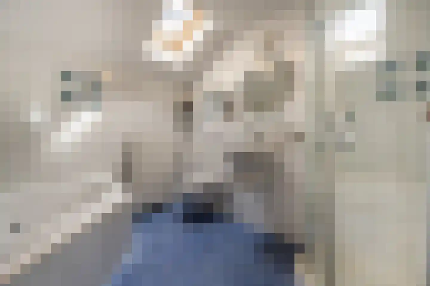 Dokter Duyvendakhof 10 Oud-Beijerland thumbnail 33