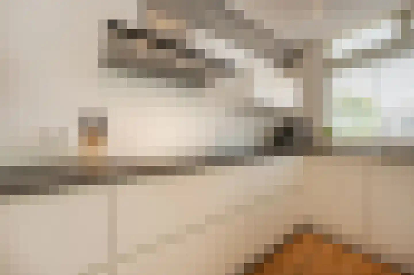 Dokter Duyvendakhof 10 Oud-Beijerland thumbnail 4