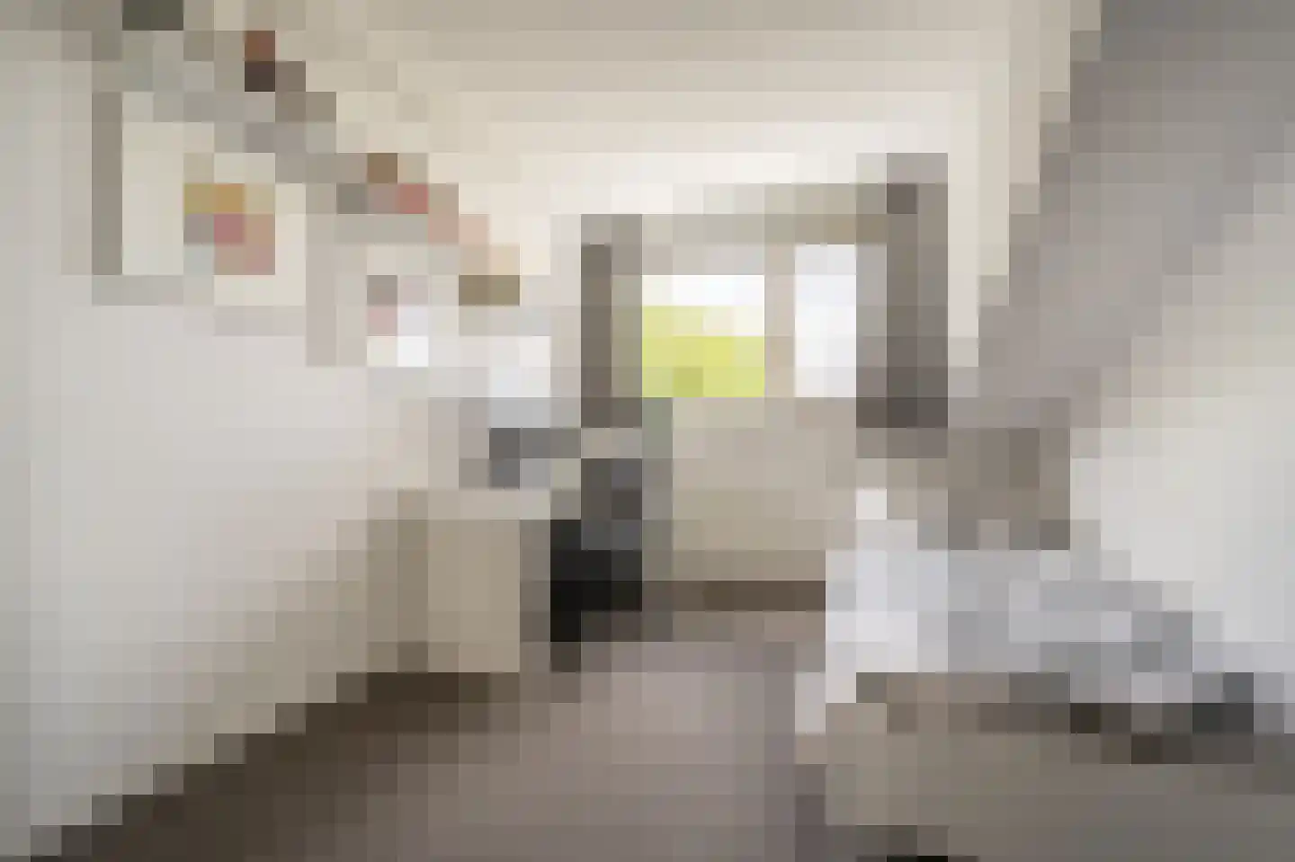 Dokter Duyvendakhof 10 Oud-Beijerland thumbnail 42