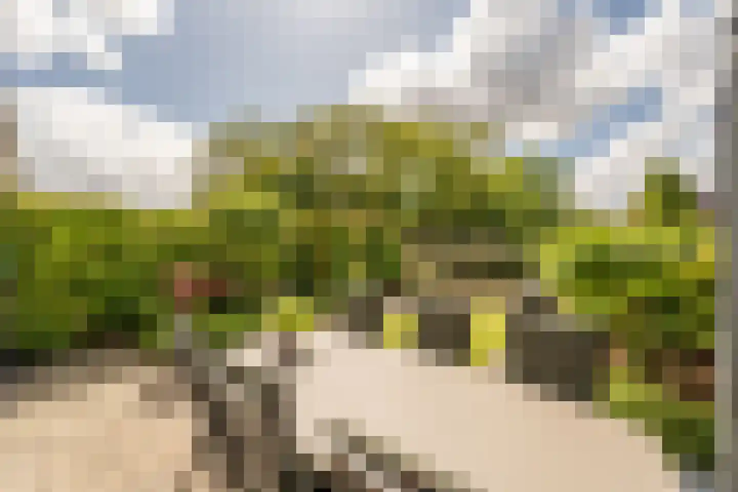 Dokter Duyvendakhof 10 Oud-Beijerland thumbnail 53