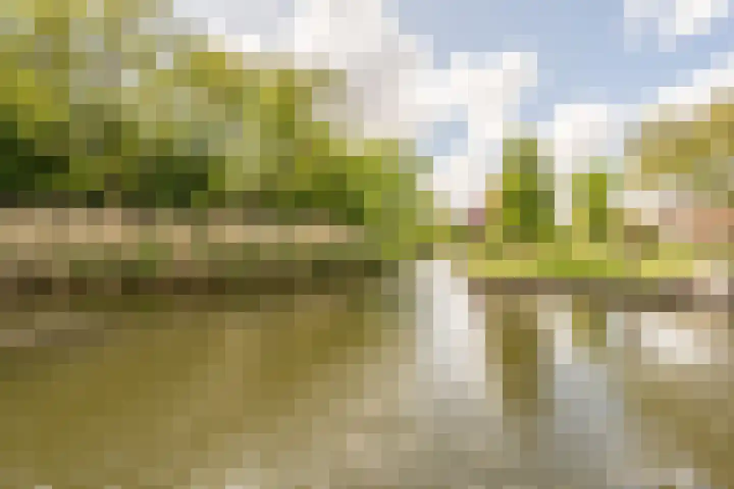 Dokter Duyvendakhof 10 Oud-Beijerland thumbnail 60