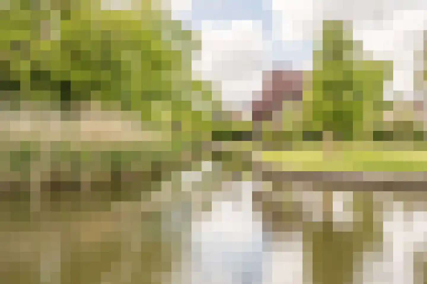 Dokter Duyvendakhof 10 Oud-Beijerland thumbnail 63