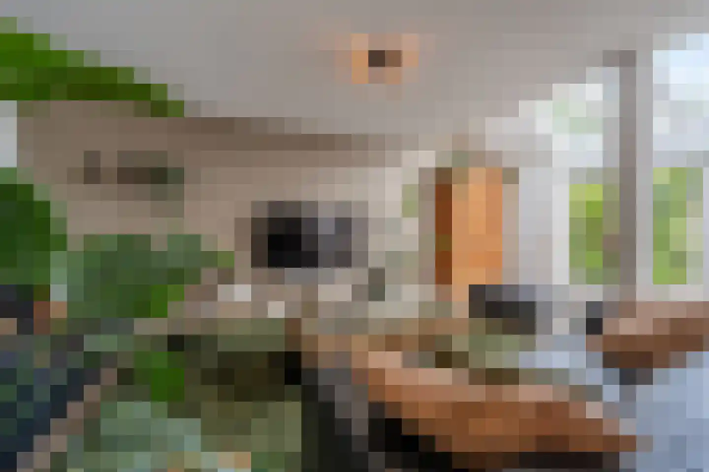 Dokter Duyvendakhof 10 Oud-Beijerland thumbnail 9