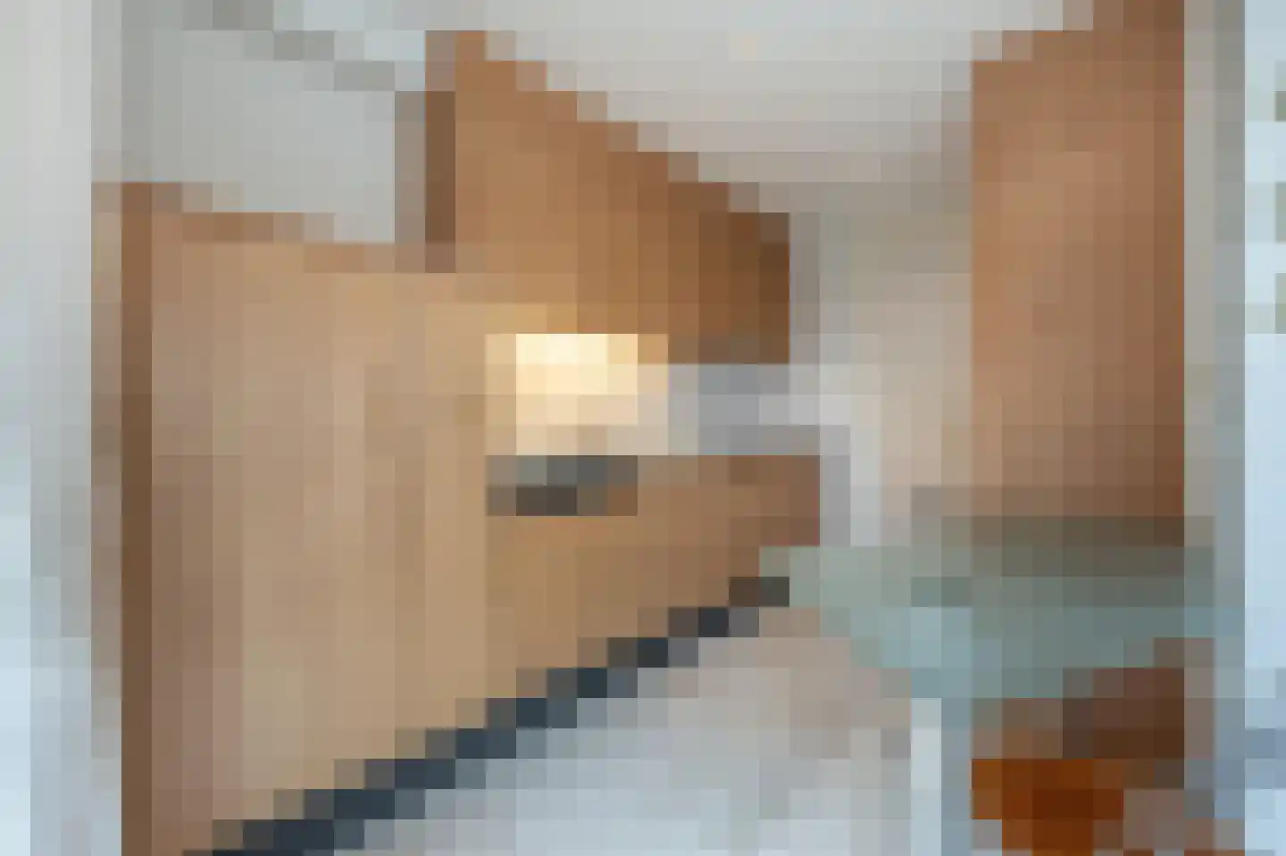 Dokter Duyvendakhof 28 Oud-Beijerland thumbnail 19
