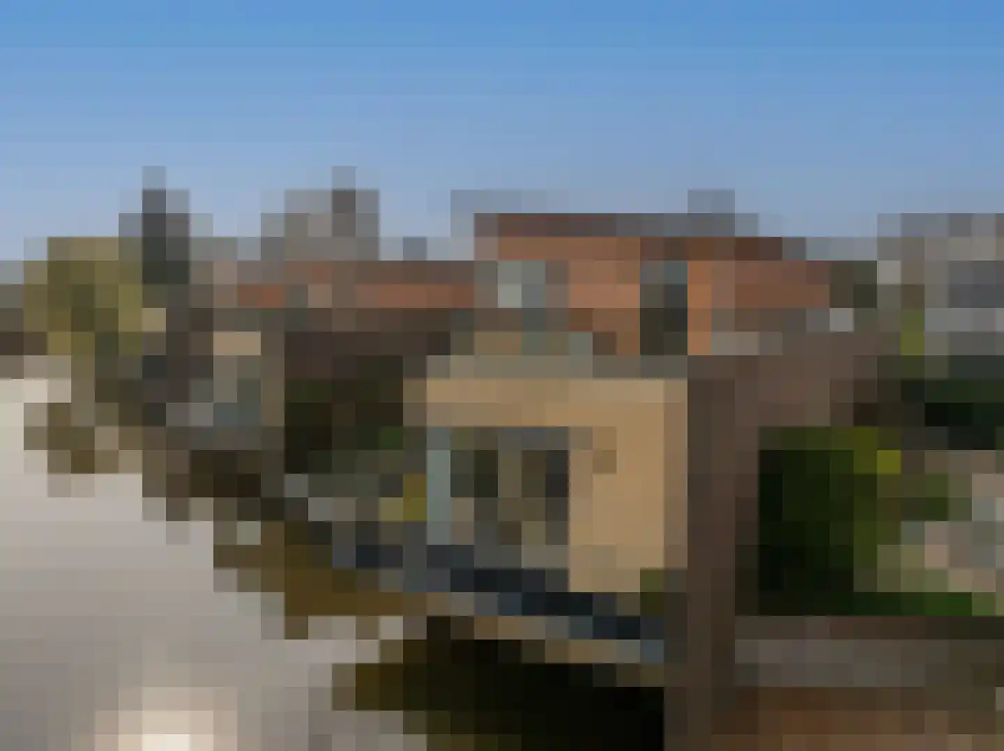 Dokter Duyvendakhof 28 Oud-Beijerland thumbnail 48