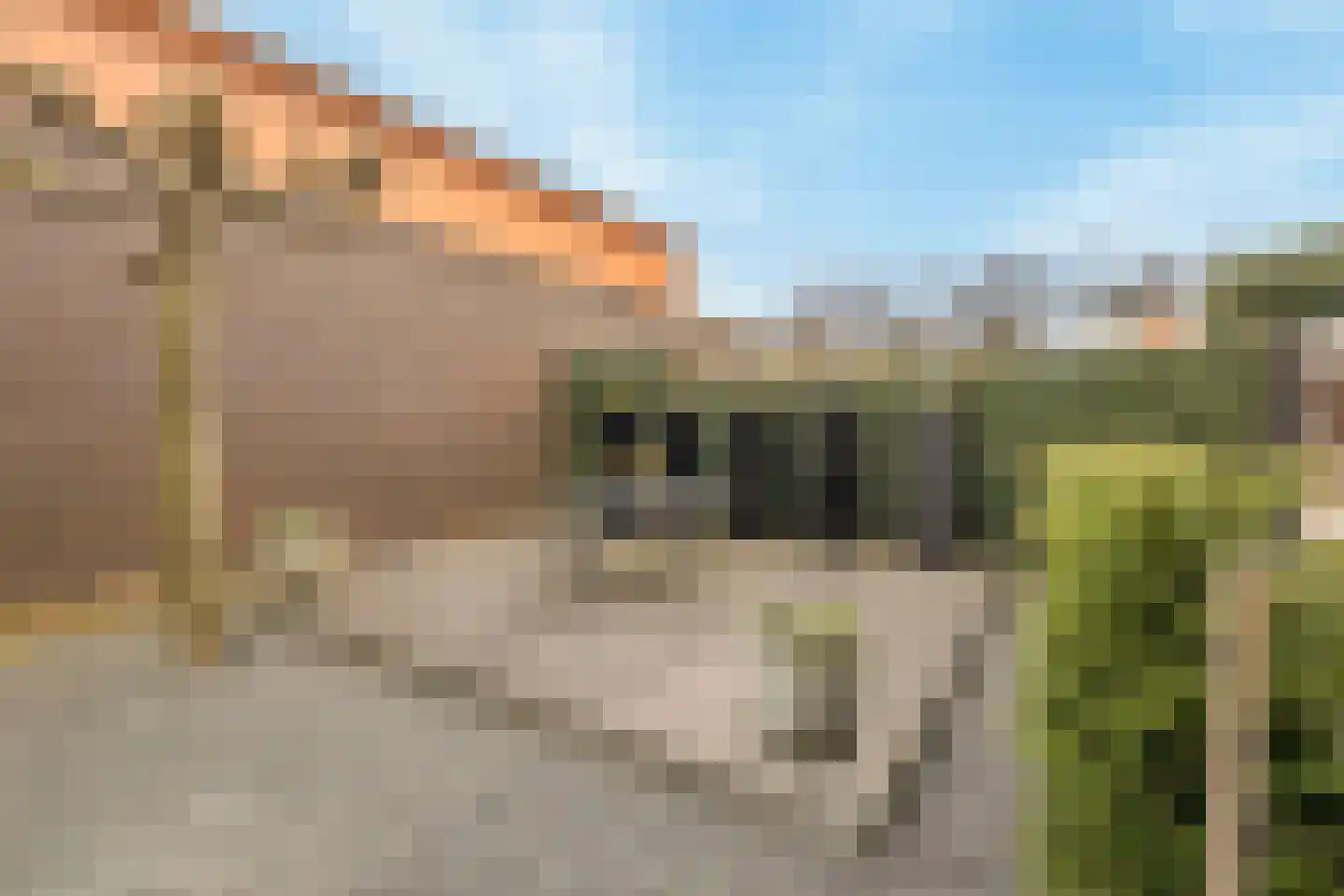 Dokter Duyvendakhof 36 Oud-Beijerland thumbnail 22