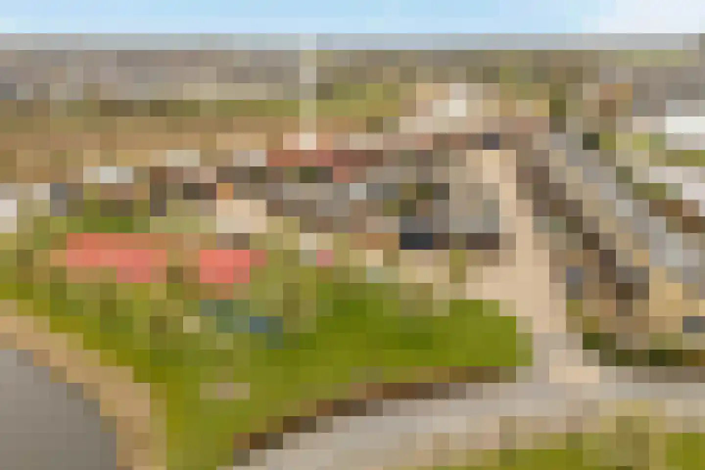 Dokter Duyvendakhof 36 Oud-Beijerland thumbnail 54