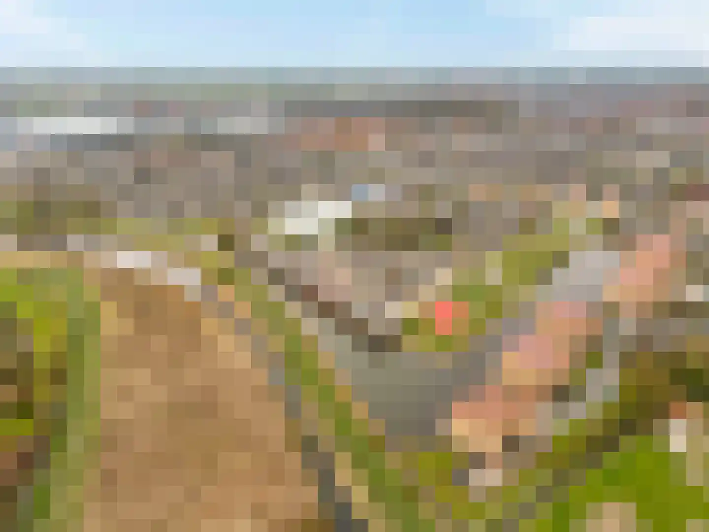 Dokter Duyvendakhof 36 Oud-Beijerland thumbnail 55