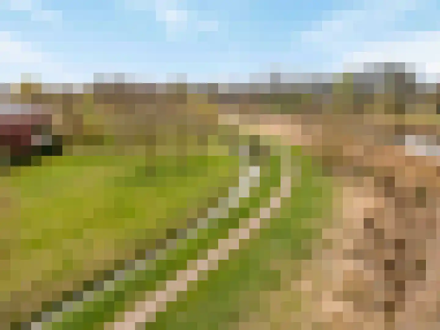 Dokter Duyvendakhof 36 Oud-Beijerland thumbnail 57