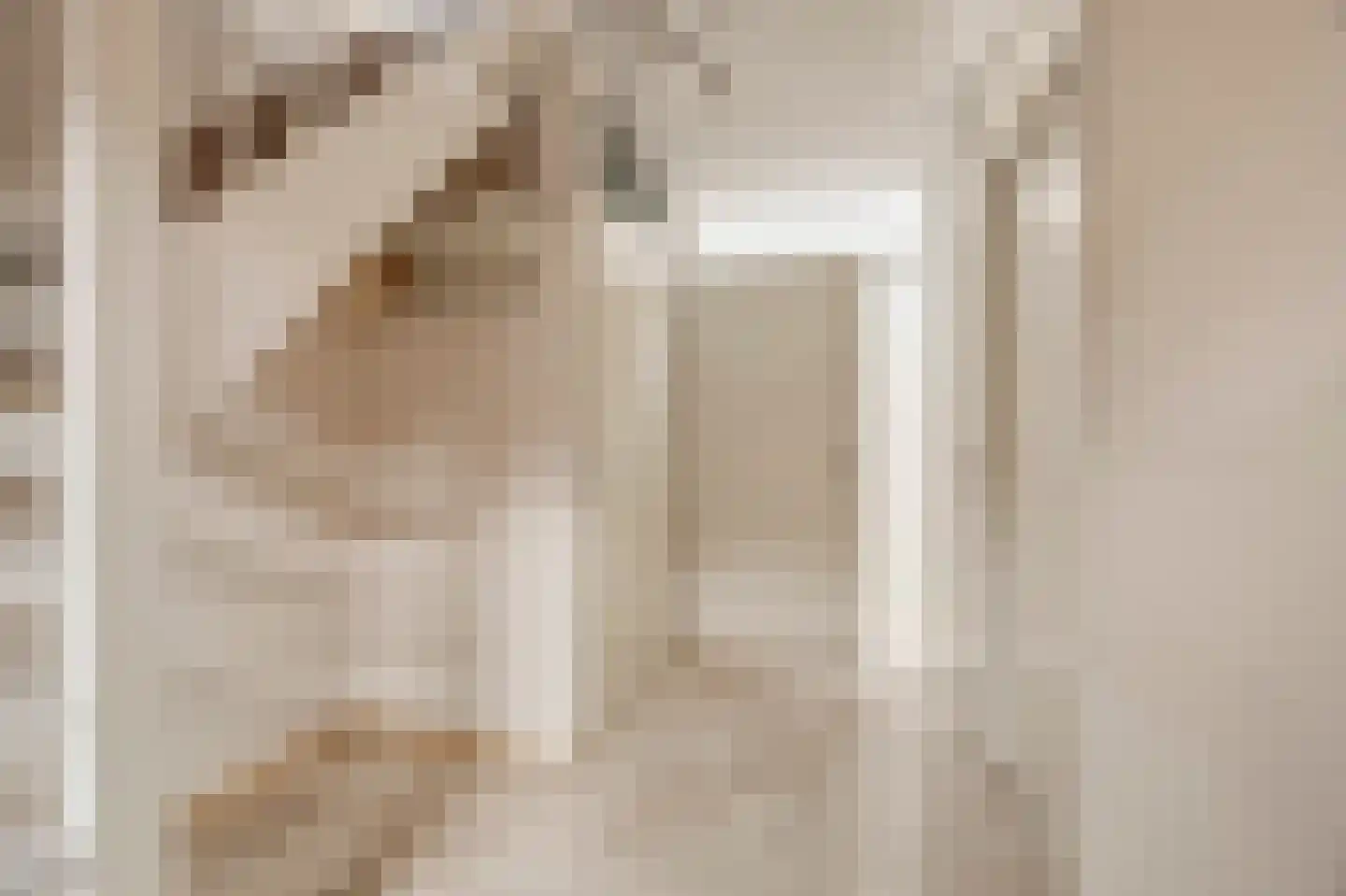 Dokter Duyvendakhof 36 Oud-Beijerland thumbnail 8