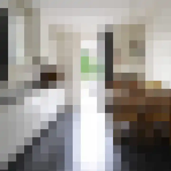 dokter E.Verstraelenstraat 12 Heel thumbnail 23