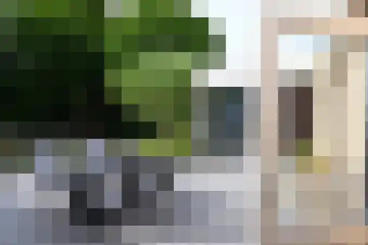 dokter E.Verstraelenstraat 12 Heel thumbnail 25