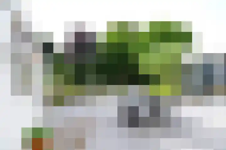 dokter E.Verstraelenstraat 12 Heel thumbnail 26