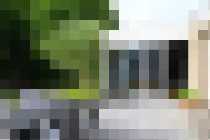 dokter E.Verstraelenstraat 12 Heel thumbnail 27