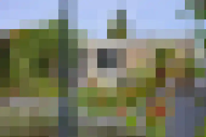 dokter E.Verstraelenstraat 12 Heel thumbnail 31