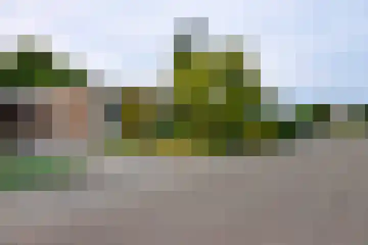 dokter E.Verstraelenstraat 12 Heel thumbnail 36
