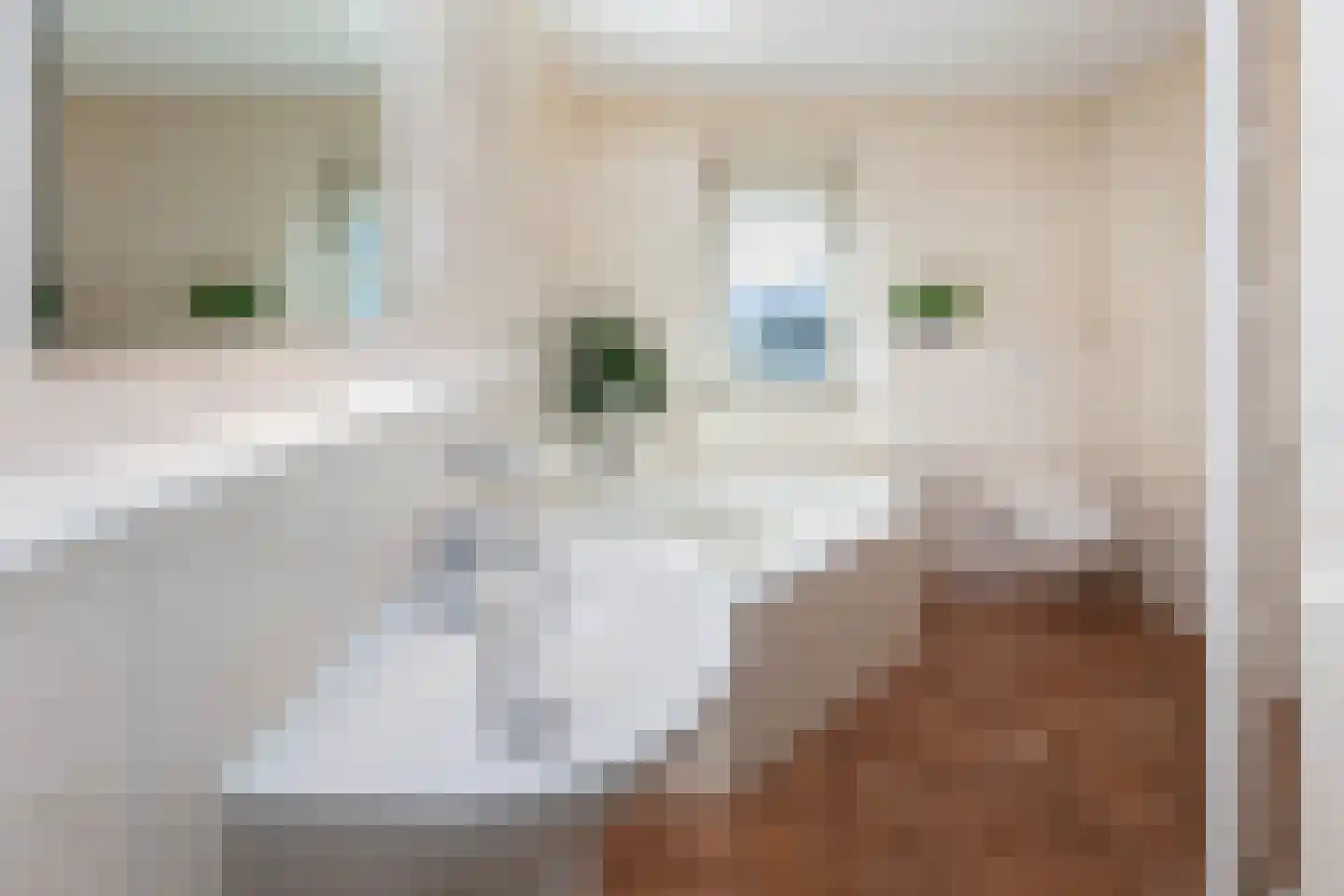 dokter Eshuisstraat 5 Tubbergen thumbnail 12