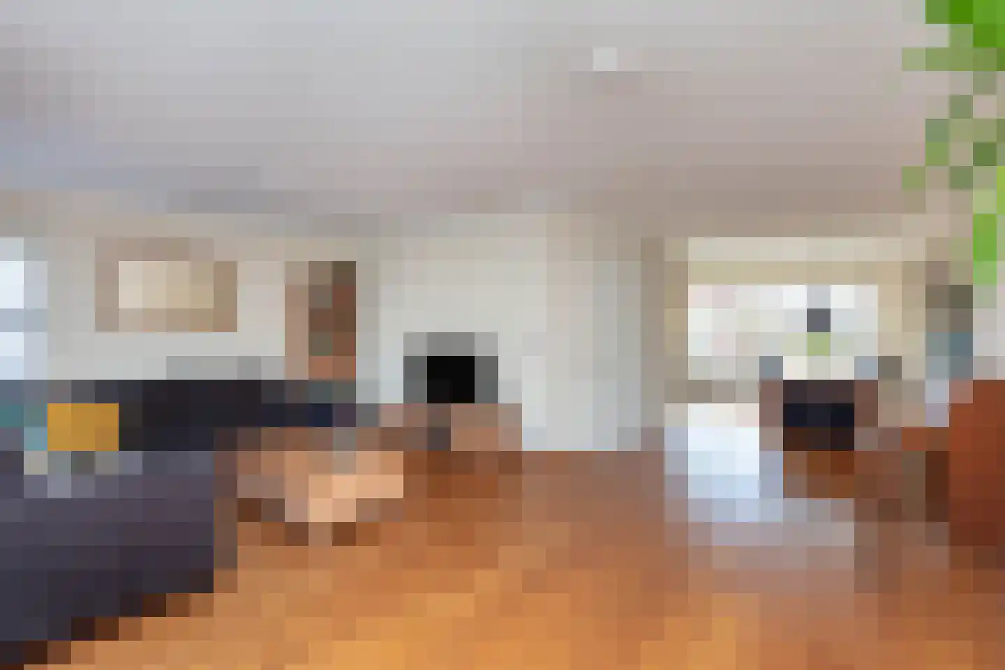 dokter Eshuisstraat 5 Tubbergen thumbnail 5