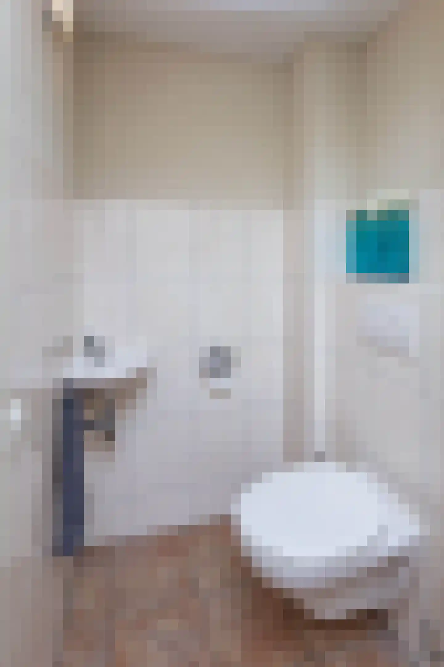 dokter Eshuisstraat 5 Tubbergen thumbnail 8