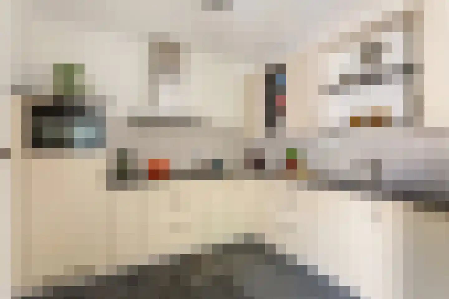 dokter Eshuisstraat 8 Tubbergen thumbnail 10
