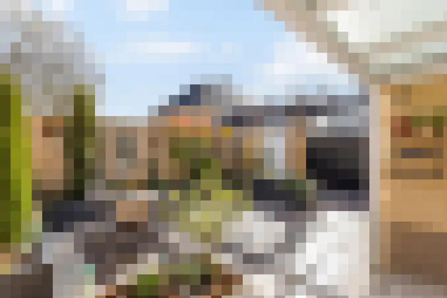 dokter Eshuisstraat 8 Tubbergen thumbnail 18
