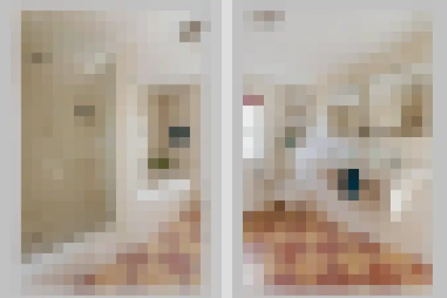 dokter Eshuisstraat 8 Tubbergen thumbnail 4
