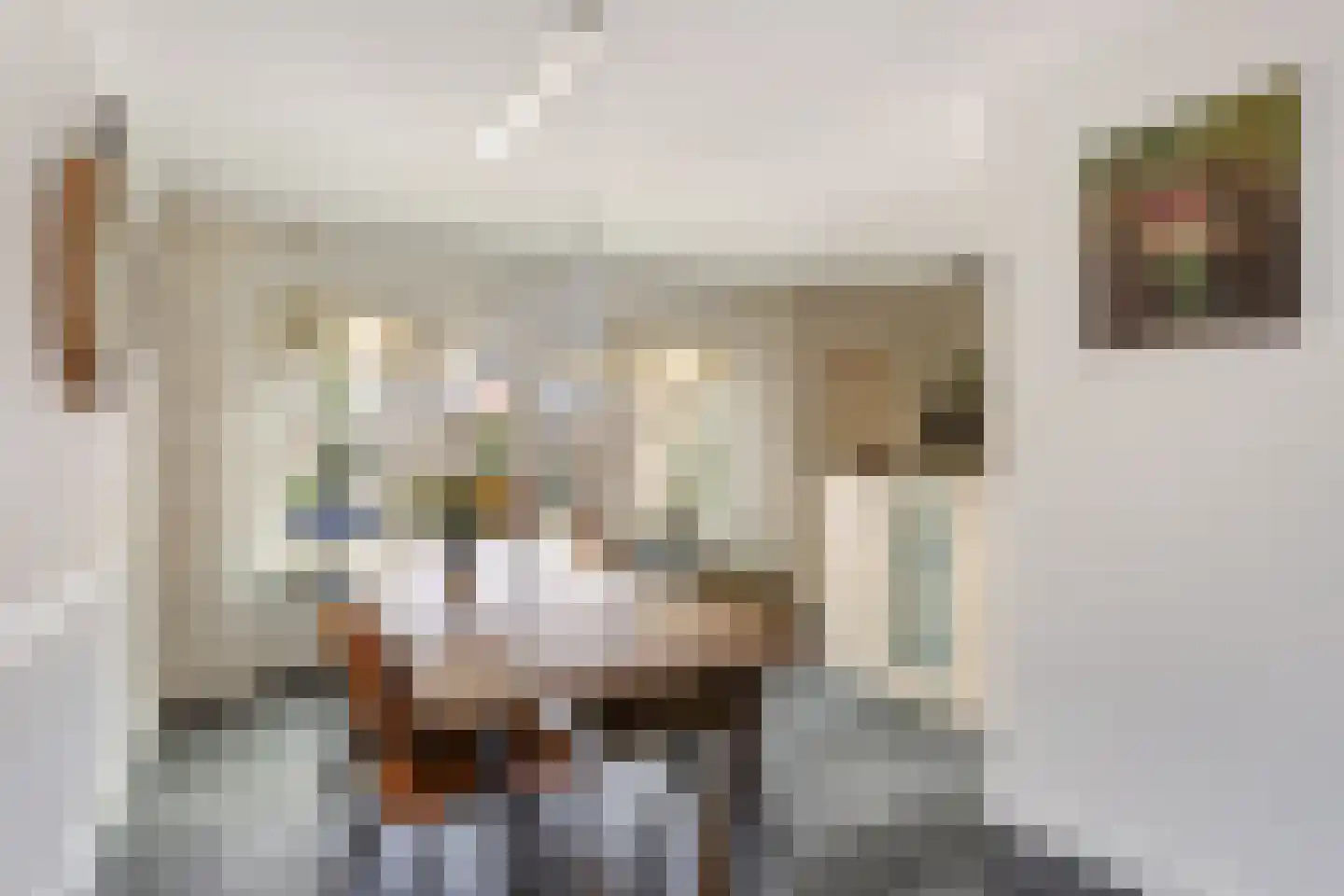 dokter Eshuisstraat 8 Tubbergen thumbnail 9
