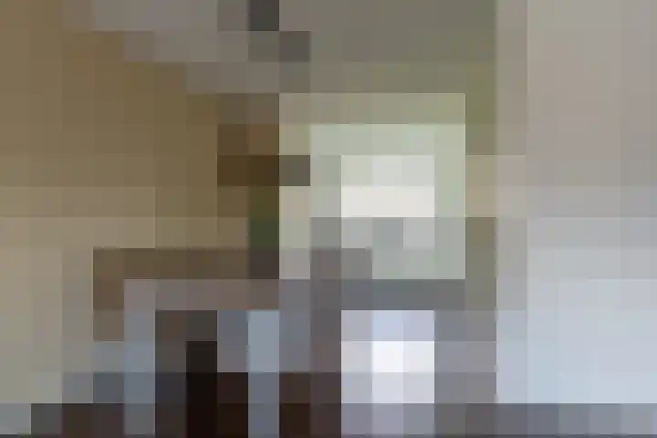Dokter Esseveldlaan 25 Andel thumbnail 11