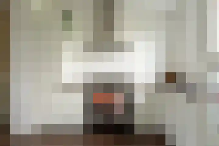 Dokter Esseveldlaan 25 Andel thumbnail 13