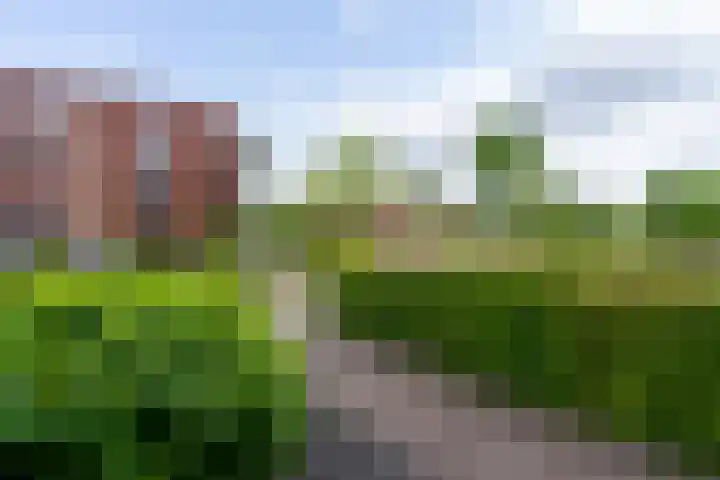 Dokter Esseveldlaan 25 Andel thumbnail 5