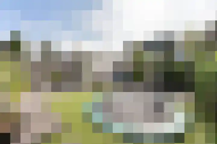 Dokter Fokkensstraat 6 Hoek van Holland thumbnail 12