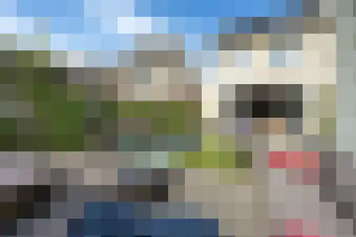 Dokter Fokkensstraat 6 Hoek van Holland thumbnail 14
