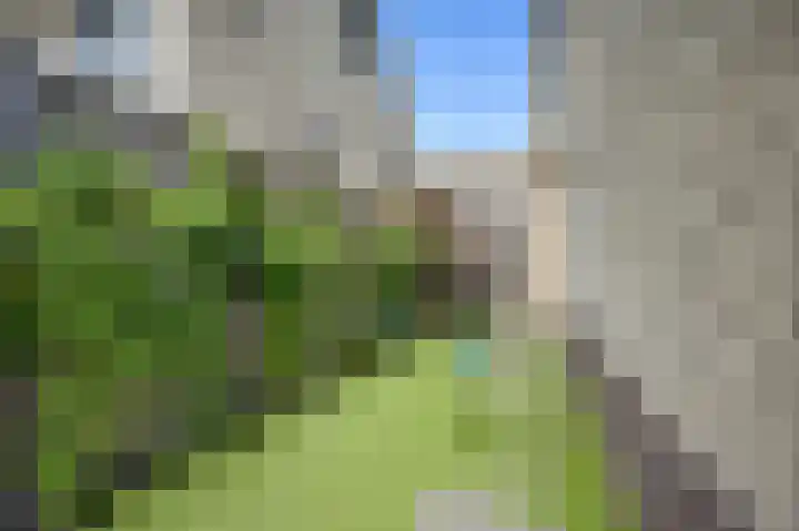 Dokter Fokkensstraat 6 Hoek van Holland thumbnail 15