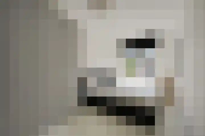 Dokter Fokkensstraat 6 Hoek van Holland thumbnail 5