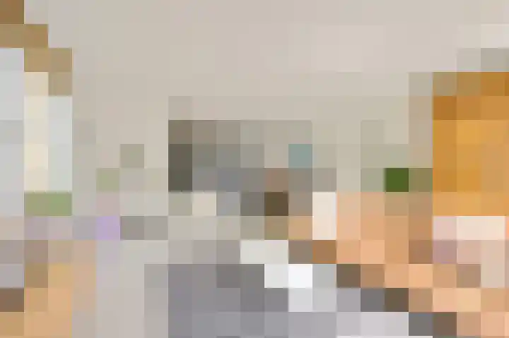 Dokter Fokkensstraat 6 Hoek van Holland thumbnail 9