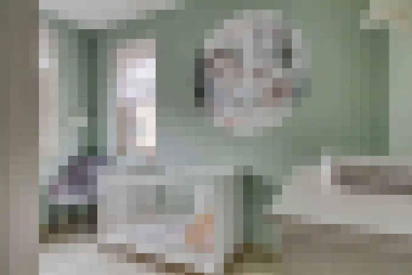 Dokter Fokkensstraat 8 Hoek van Holland thumbnail 32