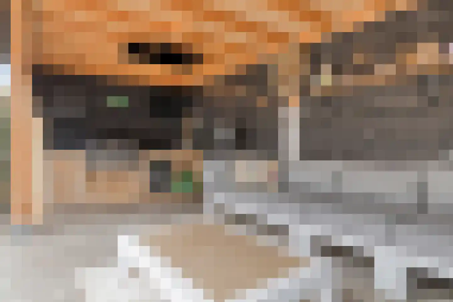 Dokter Fokkensstraat 8 Hoek van Holland thumbnail 52