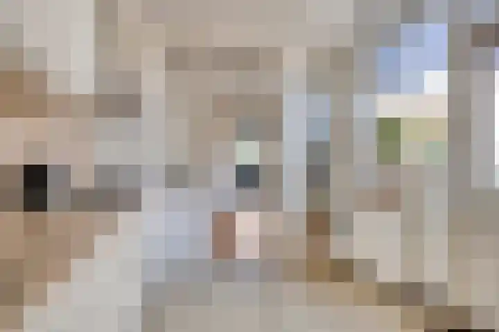 Dokter G.H. Beensweg 68 Wierden thumbnail 11