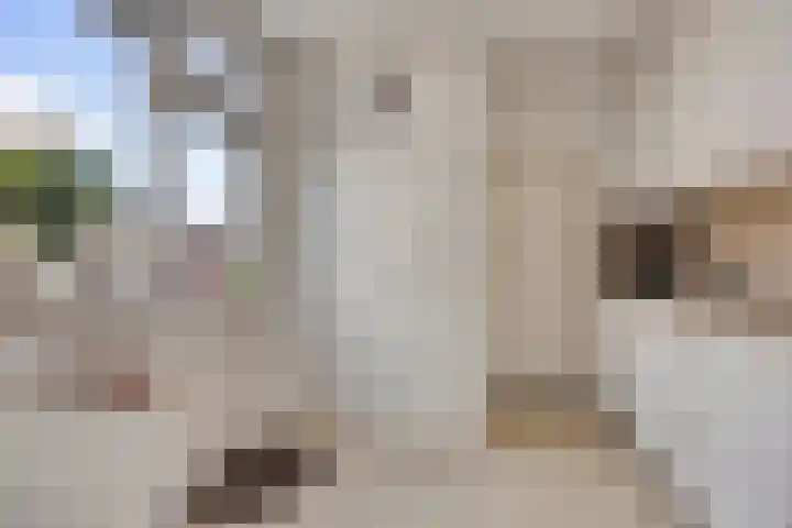 Dokter G.H. Beensweg 68 Wierden thumbnail 13