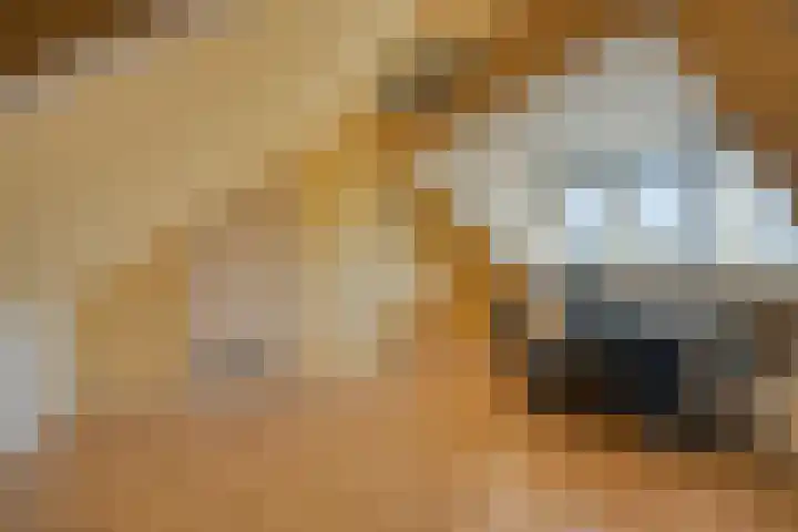 Dokter G.H. Beensweg 68 Wierden thumbnail 23