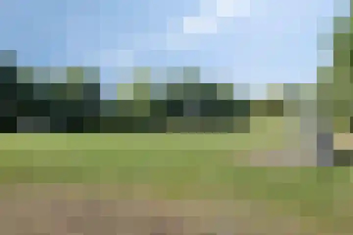 Dokter G.H. Beensweg 68 Wierden thumbnail 31