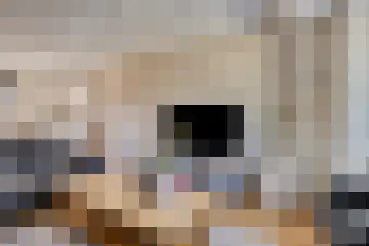 Dokter G.H. Beensweg 68 Wierden thumbnail 7