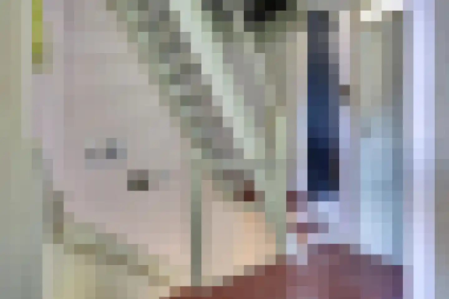 Dokter G.H. Beensweg 76 Wierden thumbnail 20