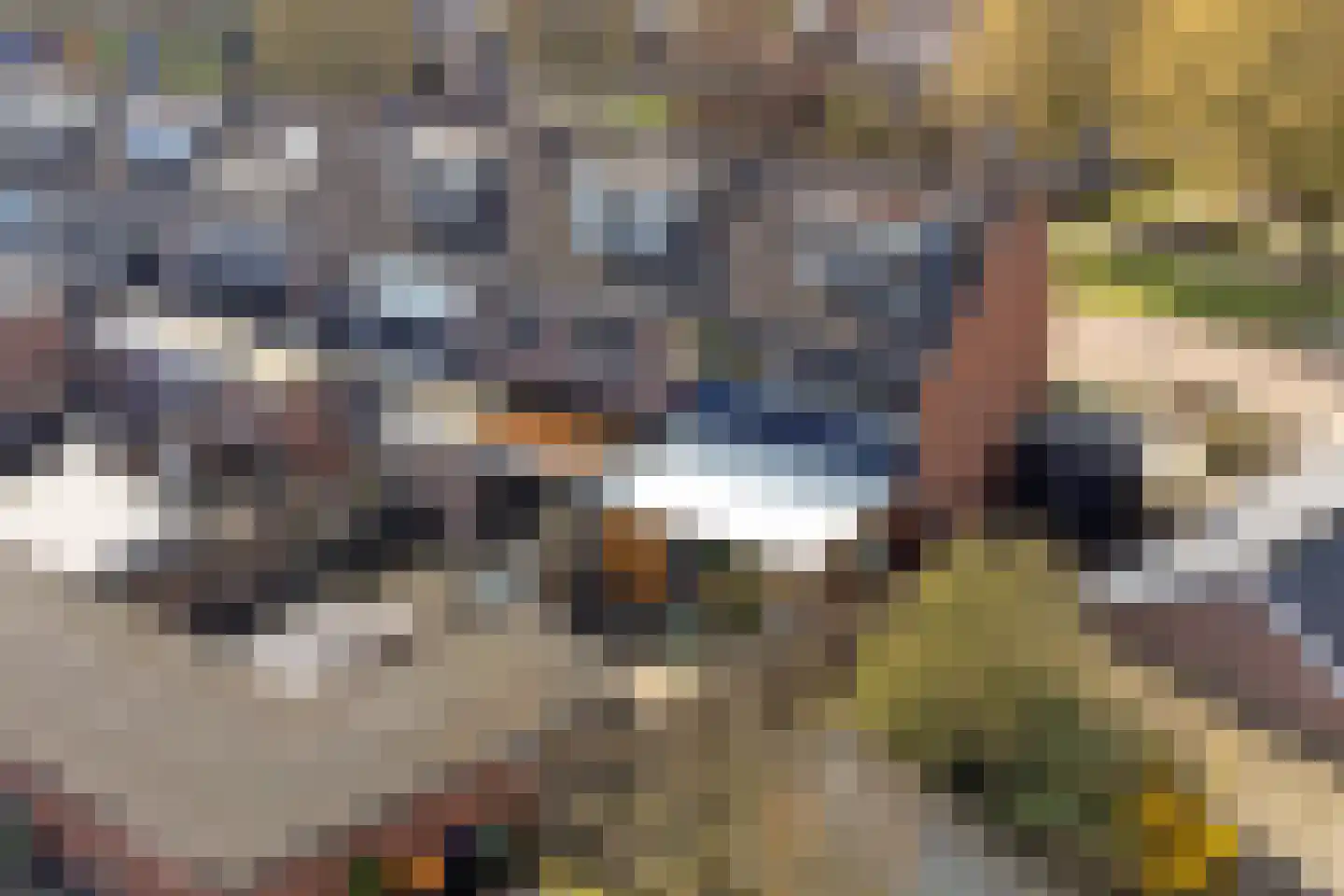 Dokter G.H. Beensweg 76 Wierden thumbnail 46